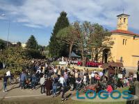 Vanzaghello - La chiesa di Madonna in Campagna (Foto d'archivio)