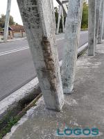 Turbigo - Un particolare del ponte di cemento sul Naviglio 