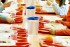 Scuola - Buoni pasto (Foto internet)
