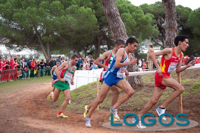 Sport - Cross Country (Foto internet)