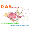 Buscate - 'GASBusca' 