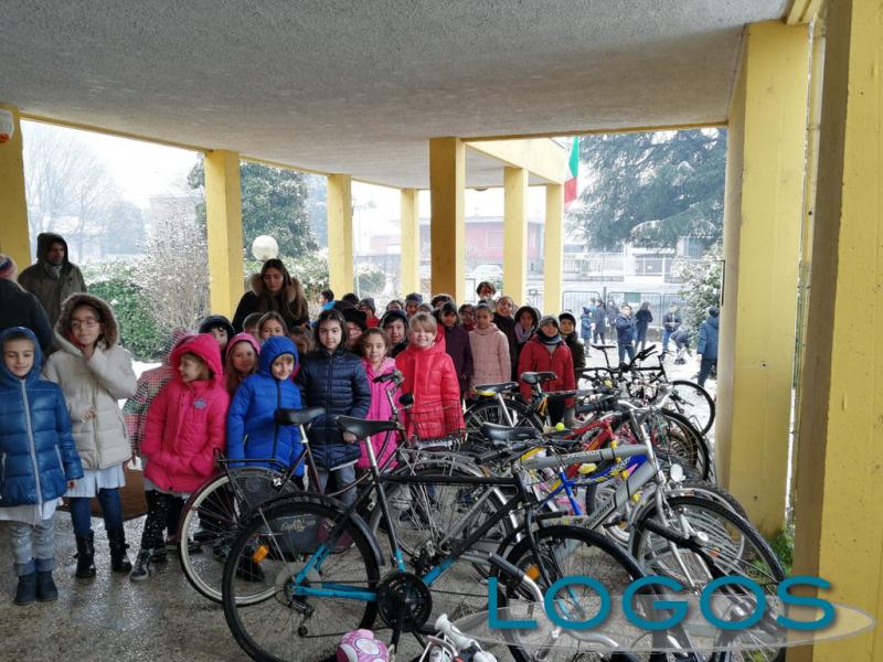 Magenta, Sociale, Scuola