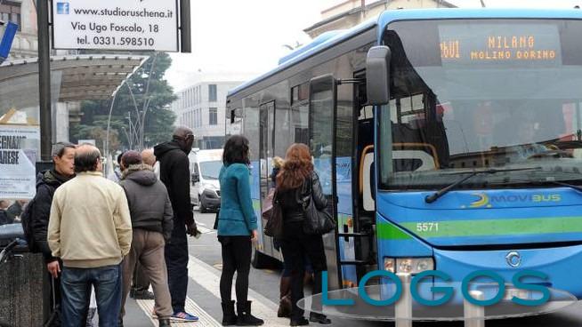 Territorio - Autobus Movibus (Foto internet)