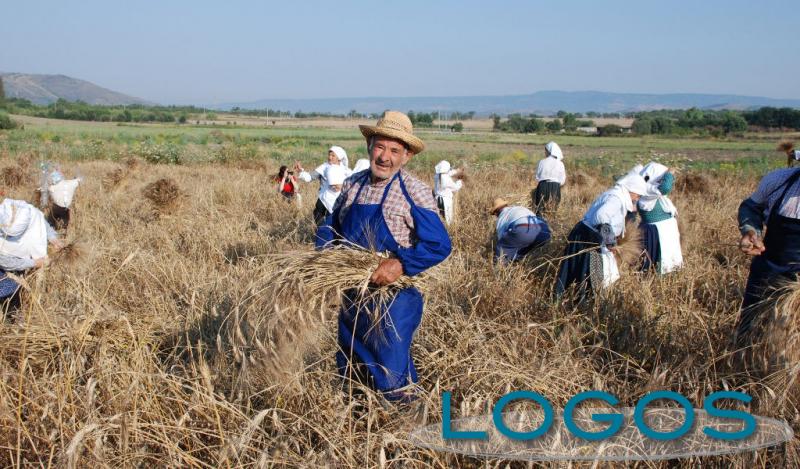 Territorio - Contadino nei campi (da internet)