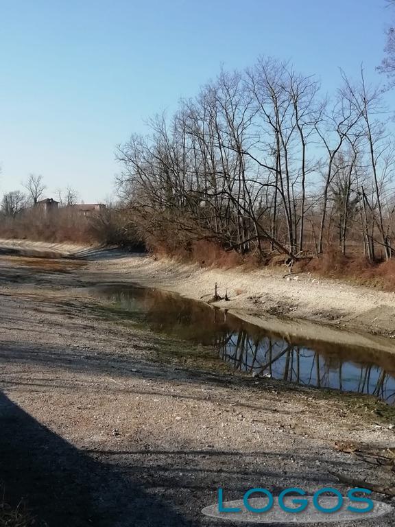 Cuggiono - Naviglio in secca, febbraio 2019