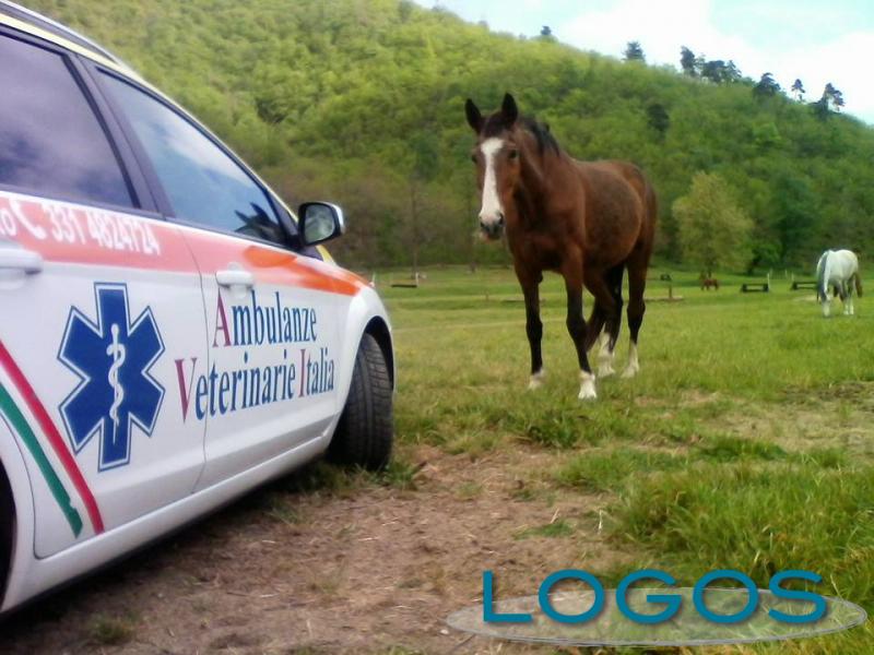 Territorio, Salute
