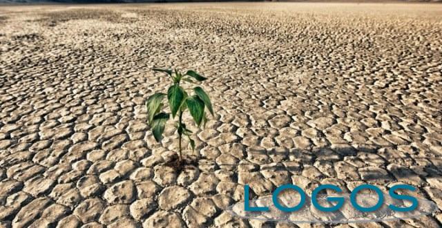 Attualità - Pioggia scarsa in Lombardia (Foto internet) Attualità - Pioggia scarsa in Lombardia (Foto internet)