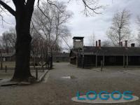 Scuola - Un momento del 'viaggio della memoria'.2