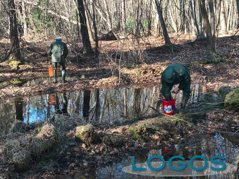 Territorio - Le operazioni di salvataggio Territorio - Le operazioni di salvataggio