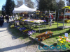 Eventi - 'Floribunda' (Foto d'archivio)