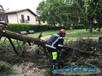 Territorio - Interventi per il vento.3