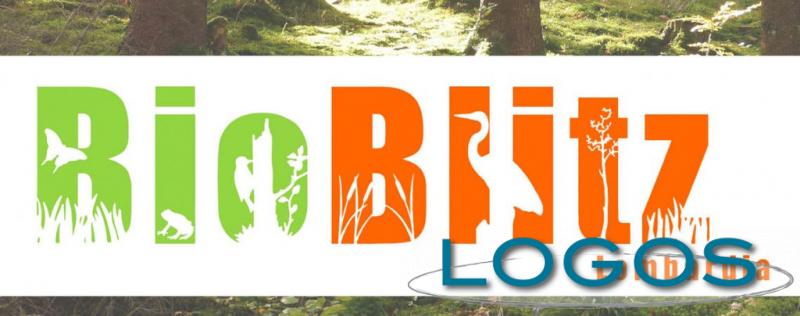 Magenta - BioBlitz 2019, il logo