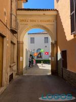 Castano - Mercato solidale.4