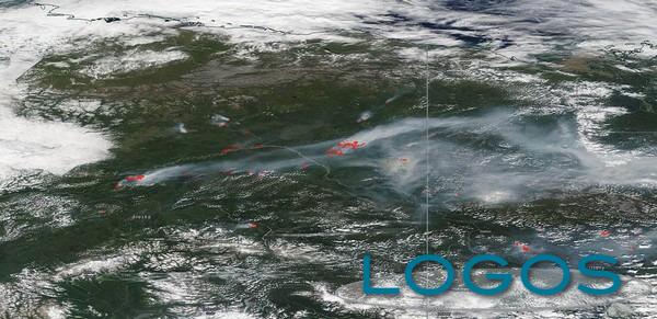 Attualità - Incendi in Siberia, estate 2019