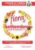 Turbigo - 'Fiera di settembre'