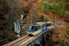 Eventi - Il Treno del Foliage