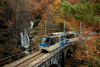 Eventi - Il Treno del Foliage