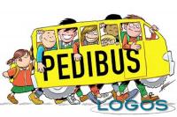 Scuola - Pedibus (Foto internet)