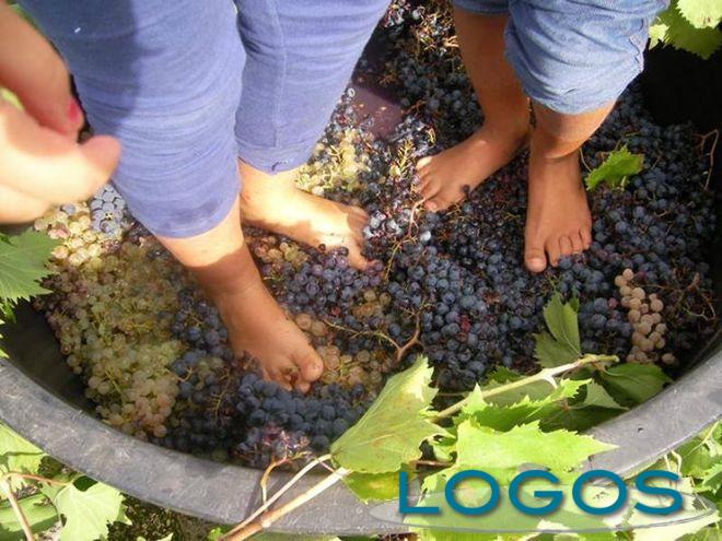 Sapori, Eventi