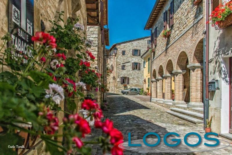 Viaggi, Solo cose belle