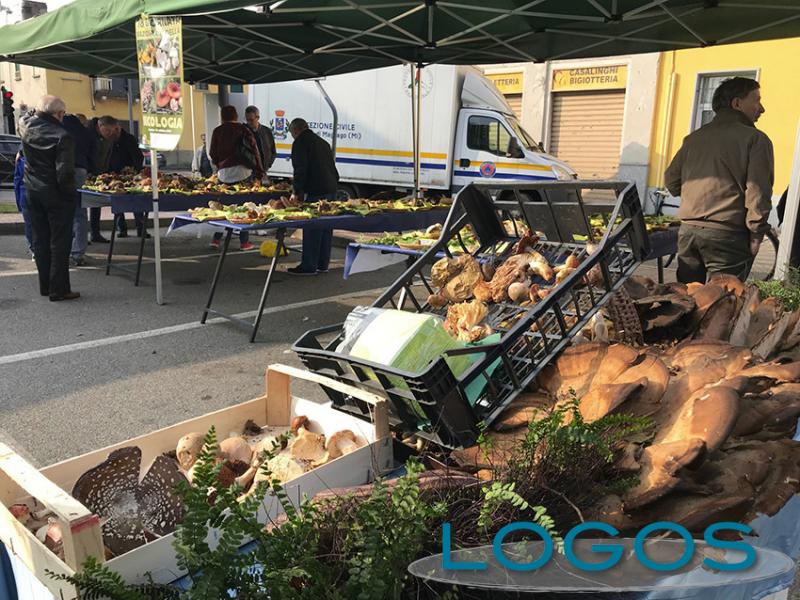 Bienate - Agricoltura e funghi 