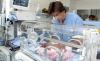 Salute - Reparto di neonatologia (da internet)