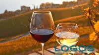 Generica - Vini da degustare (foto internet)