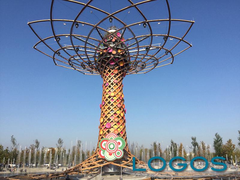 Milano - L'albero della vita, simbolo di Expo 2015