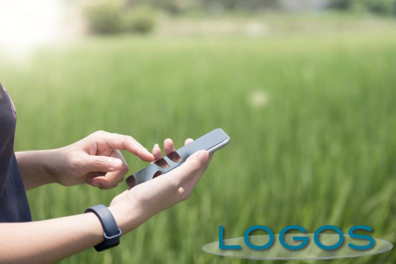 Eventi, Energia & Ambiente, Solo cose belle