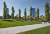 Milano - Alberi in un quartiere moderno