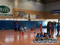 Turbigo - Volley sotto l'albero 