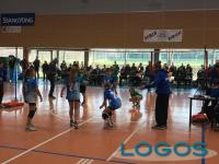 Turbigo - Volley sotto l'albero.1