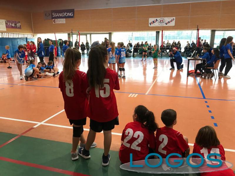 Turbigo - 'Volley sotto l'albero' Turbigo - 'Volley sotto l'albero'