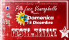 Vanzaghello - Festa di Natale 
