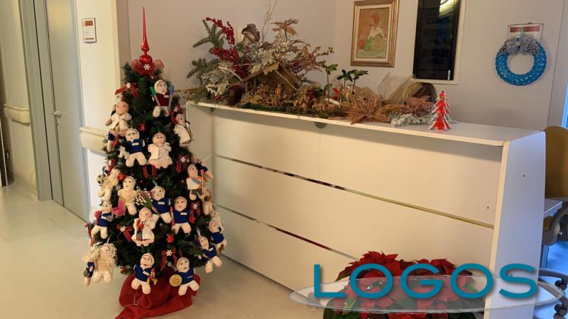 Magenta - L'albero del reparto di onologia/reumatologia 