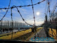 Cuggiono - Viaggio nella Memoria.1