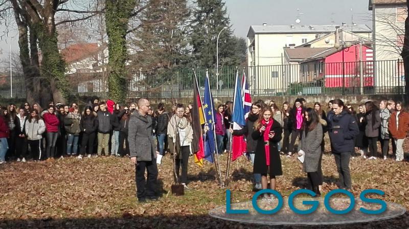 Scuola - Pietra d'inciampo e mandorlo al Liceo d'Arconate e d'Europa