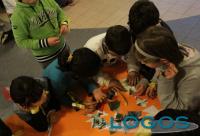 Sociale - Centro educativo (Foto internet)