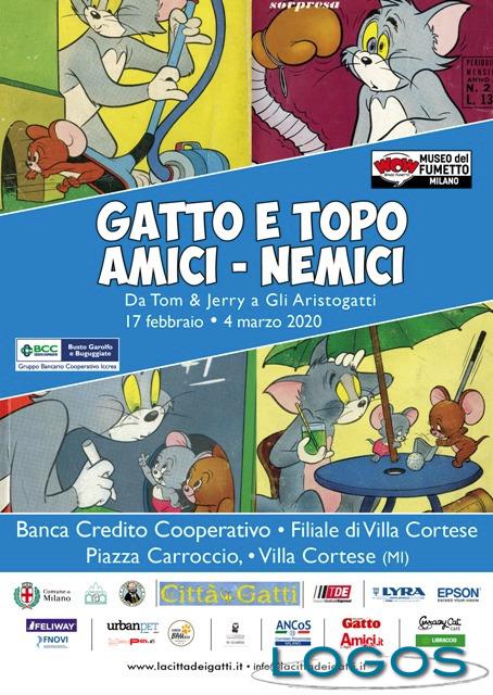 Eventi - 'Gatto e topo, amici-nemici'