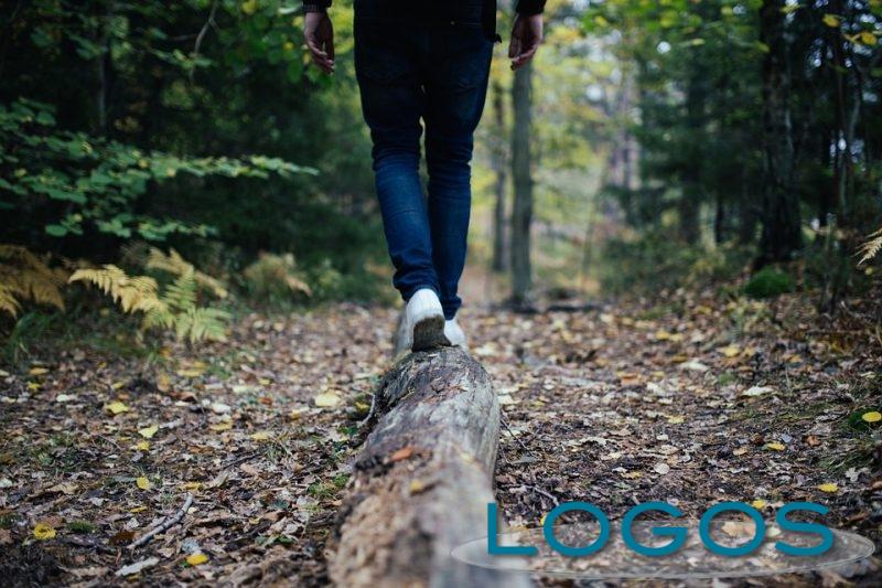 Territorio - Passeggiata nel bosco (Foto internet) Territorio - Passeggiata nel bosco (Foto internet)