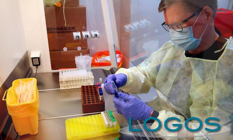 Salute - Test Coronavirus (Foto internet)