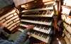 Musica - Suonare l'organo (Foto internet)