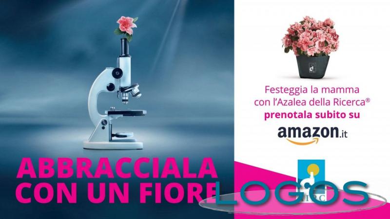 Sociale - Azzalea AIRC con Amazon Sociale - Azzalea AIRC con Amazon