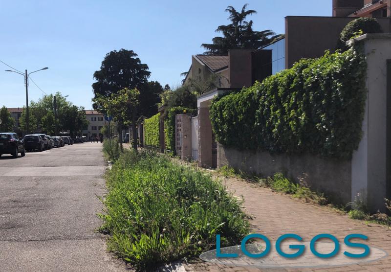 Cuggiono - Erba alta in via Roma, maggio 2020
