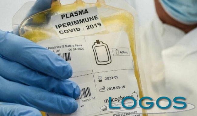 Salute - Plasma per Coronavirus (Foto internet)