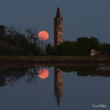 Novara - La foto sulle risaie premiata dalla NASA