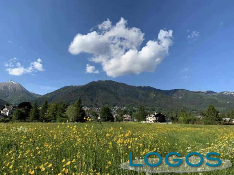 Valle Vigezzo - Campi in fiore d'estate (foto internet)