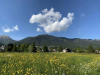 Valle Vigezzo - Campi in fiore d'estate (foto internet)