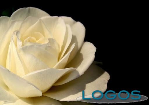 Sociale - Ricordo (Foto internet)