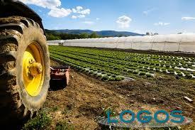 Territorio - Azienda agricola (Foto internet) Territorio - Azienda agricola (Foto internet)